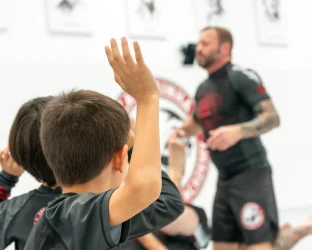 Novo Projeto - 2026-02-18T172857.562