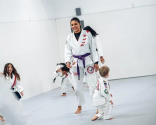 Novo Projeto - 2026-02-18T173659.103